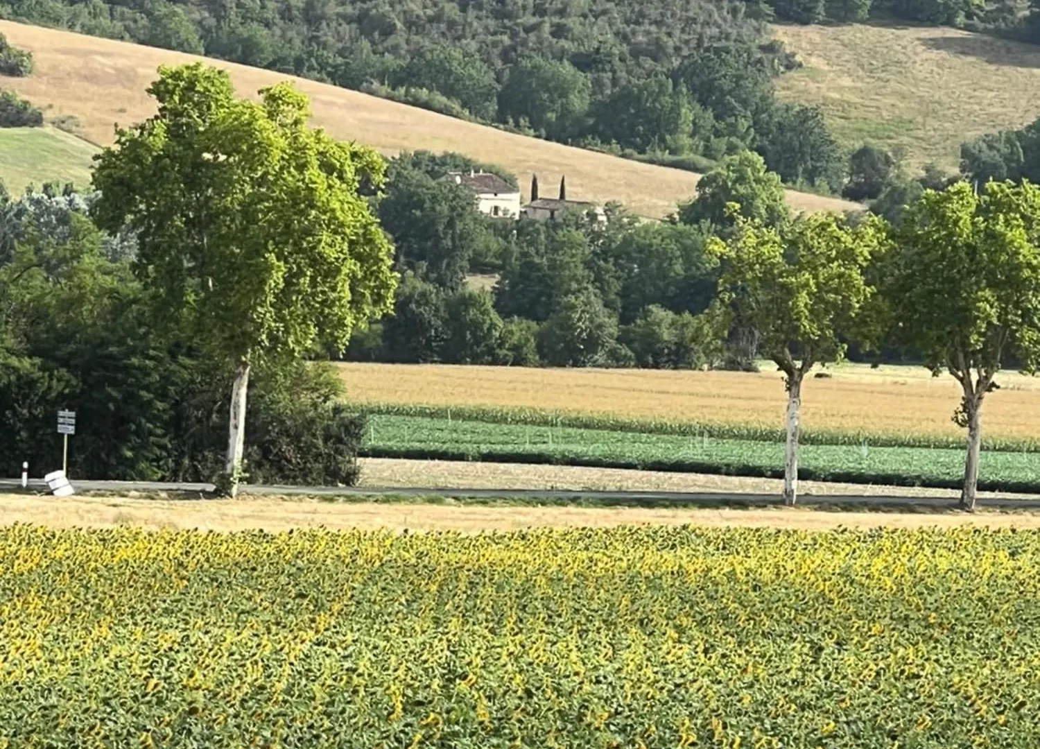 La Bastide De La Bogne Bed and Breakfast Vindrac-Alayrac