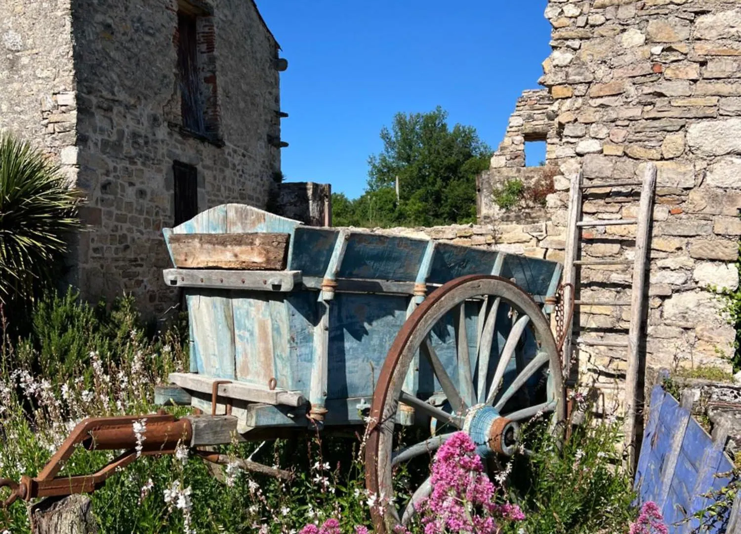La Bastide De La Bogne Bed and Breakfast Vindrac-Alayrac