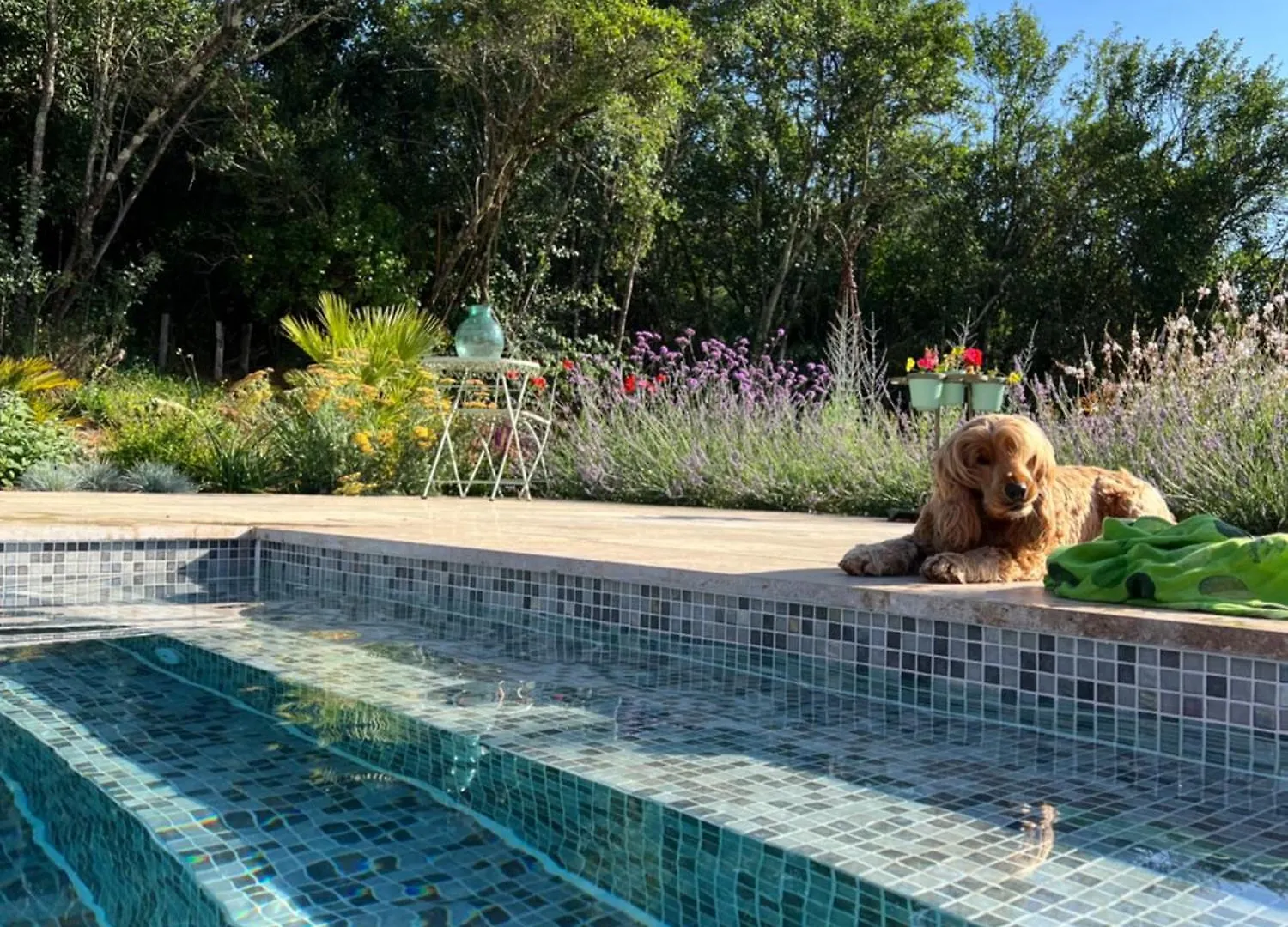 La Bastide De La Bogne Bed and Breakfast Vindrac-Alayrac