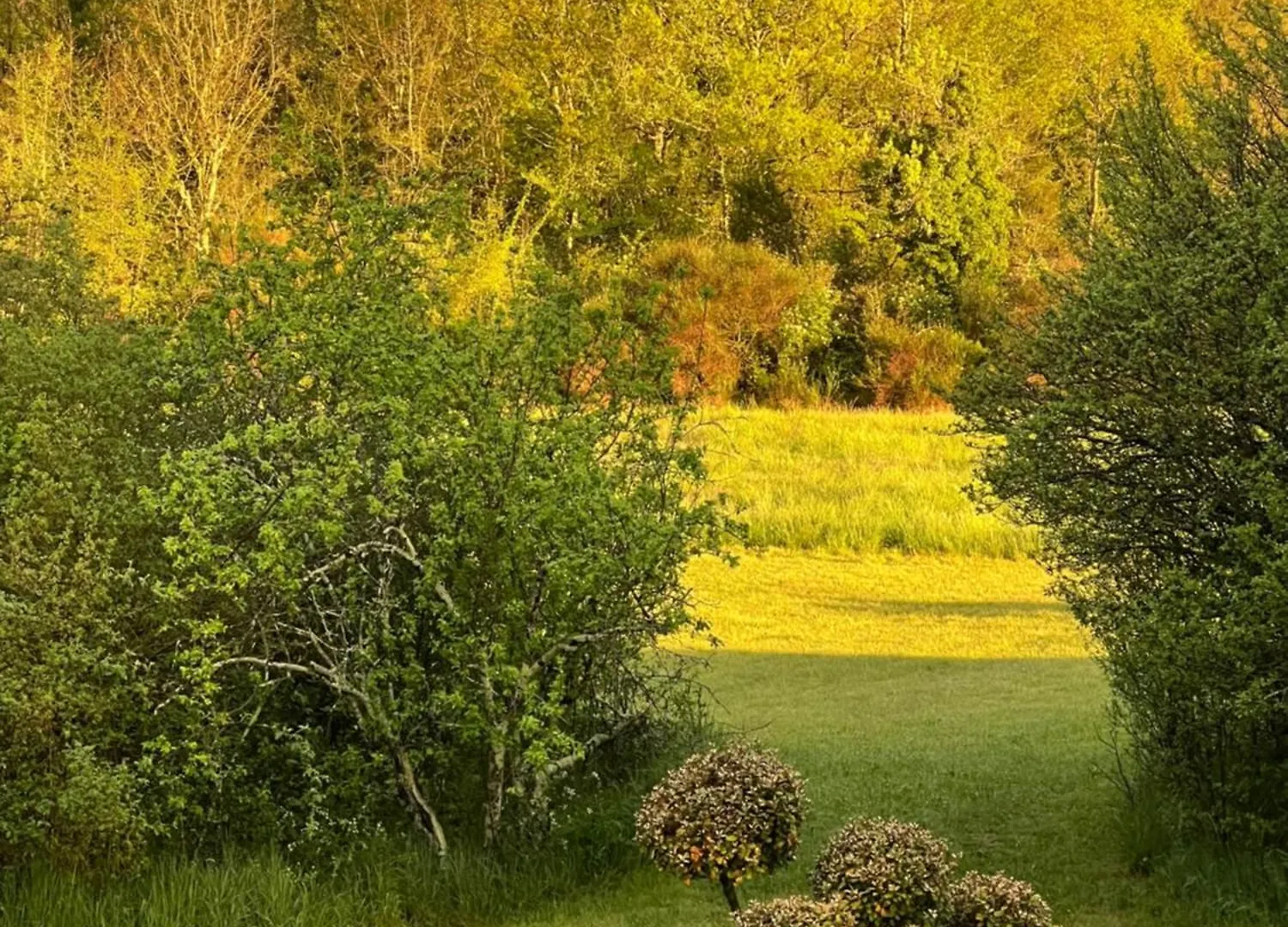 La Bastide De La Bogne Bed and Breakfast Vindrac-Alayrac